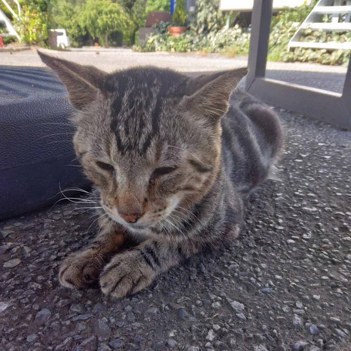 2baf2f02 67e4 4d9e 8670 7190343bb04d 1693532087996