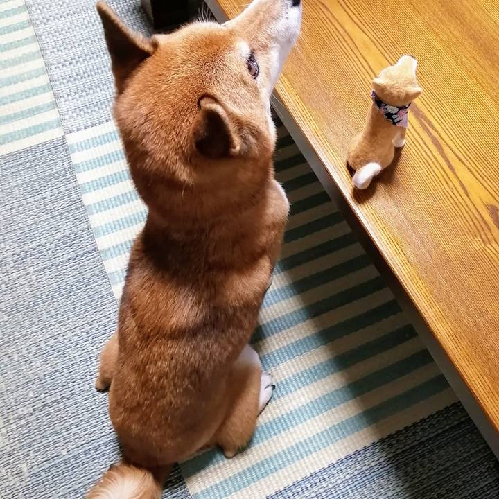 2baf3c8d 2bec 4170 825f ddbe9109e328 1600077370718