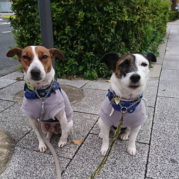 2baf60ca a652 4ab2 b705 87b13906a012 1575584572340