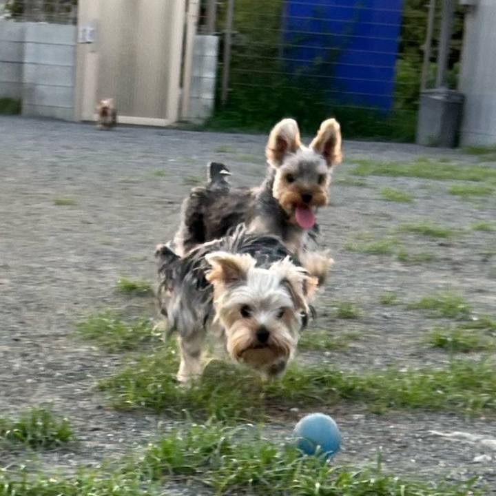 2baf678a da0f 4cc1 b210 3c33ef84dd9c 1755164442695