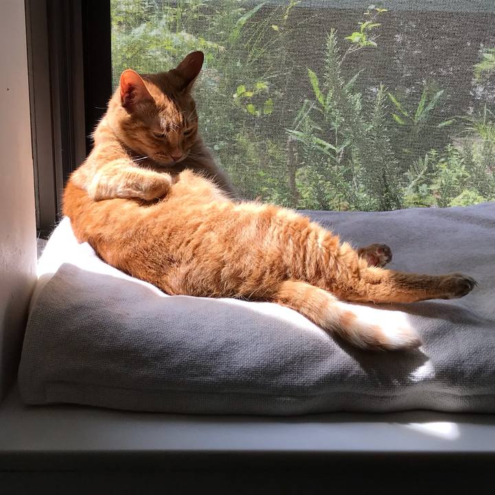 2bafda02 c45e 4ade 807f 55f9f956bf87 1592891154561