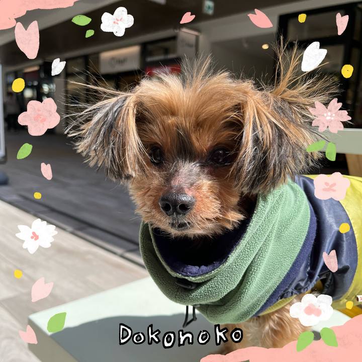 2bafee4e f047 4f8f b712 a93ee4ac1430 1711144663933