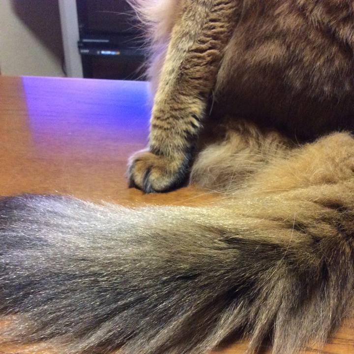 2baff619 6850 4882 bf3d 2589bf1ea1aa 1607601417853