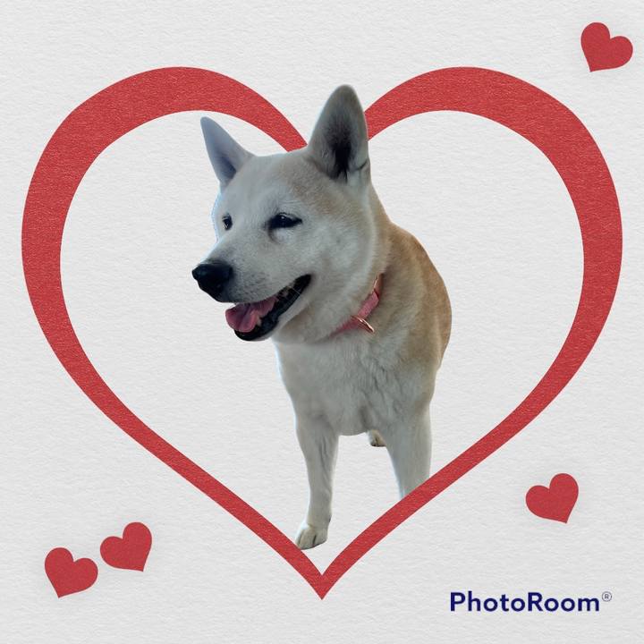 2bb0282b efa5 4f86 a6dc de1e53f027b9 1642375387030