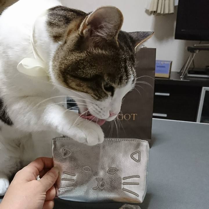 2bb02dec 1aa3 46bb b9a8 2d3d48f312fe 1509510106590