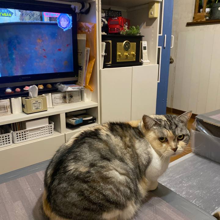 2bb03824 ab35 406a abd5 b697e623722f 1646926067620