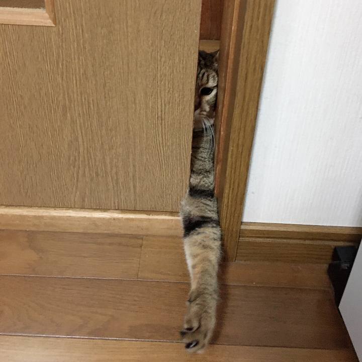 2bb0670d 4aa8 4e74 a7d7 55ede24ab325 1599219443944