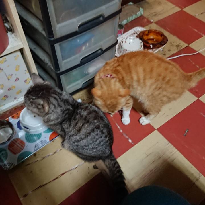 2bb084ca 17fa 45d1 bd2e ec6625acc507 1560802413663