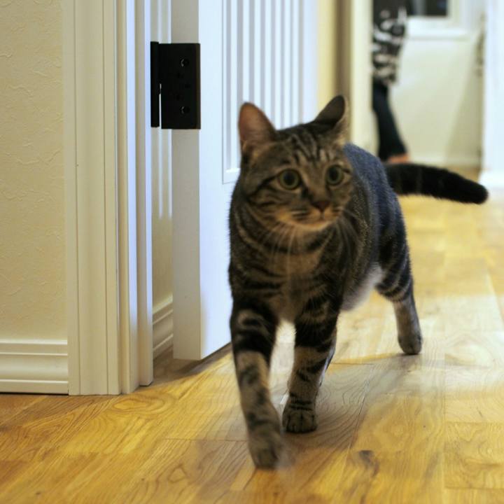 2bb0bf7f c231 4d53 a508 e1db9c6946ac 1537681158319