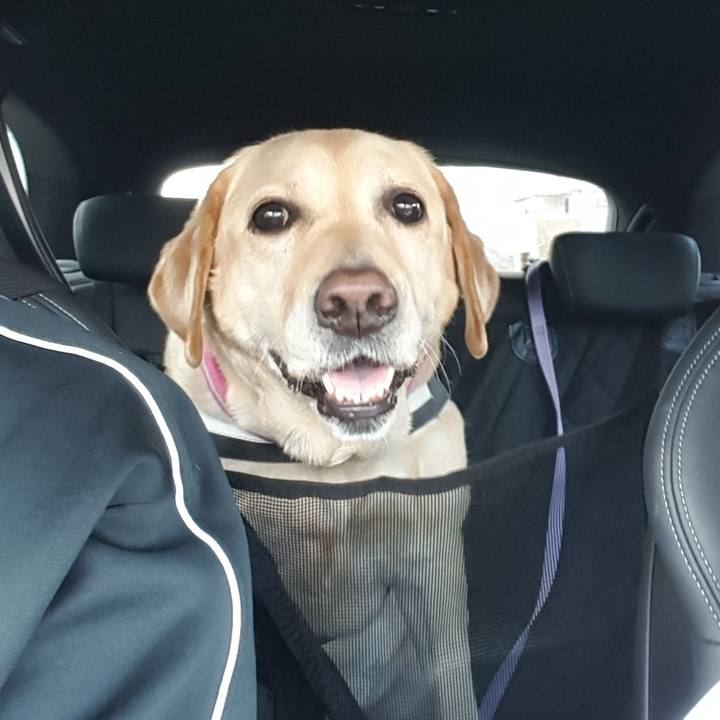 2bb0c5c7 3e67 4212 84bc 0f133bee58b0 1587291289863