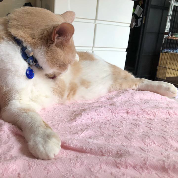 2bb0ce6f f81d 4fec 894e 0c8c3c967ef4 1560561028618