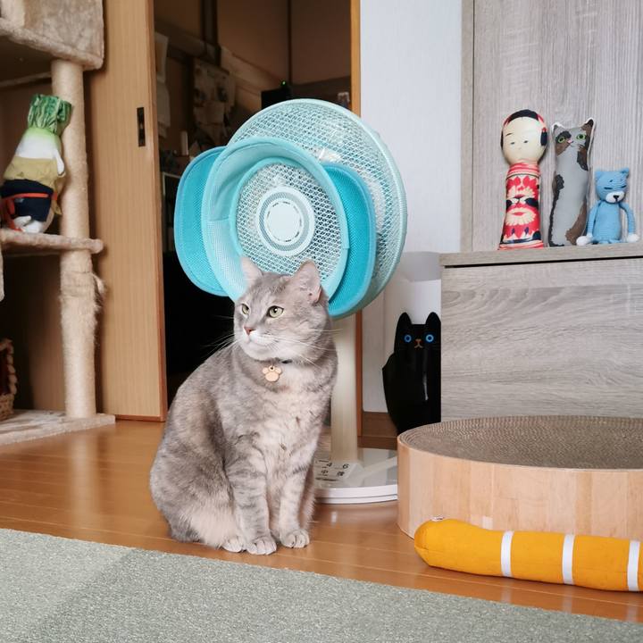 2bb0e934 f261 4ad6 933f f7de8c359d1f 1634700852273