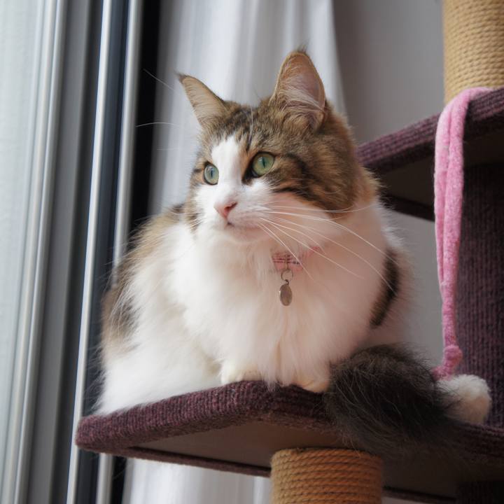 2bb0f3d7 e37d 490b 88ac eb46a905bdb1 1539575974321