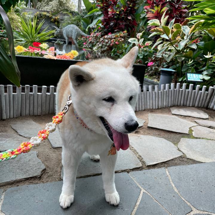 2bb10b93 7b85 4abc bdf8 a1cb84041622 1712876255855