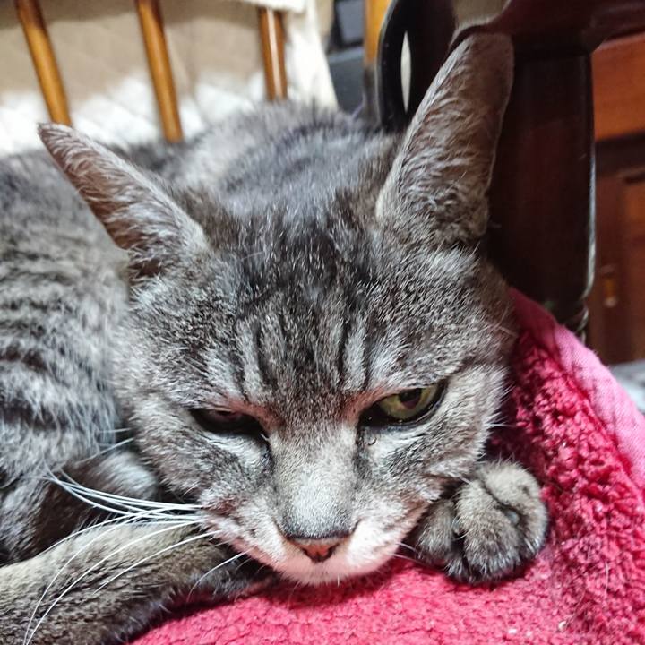 2bb17565 a754 4a93 aa73 db096771fe54 1581937433784