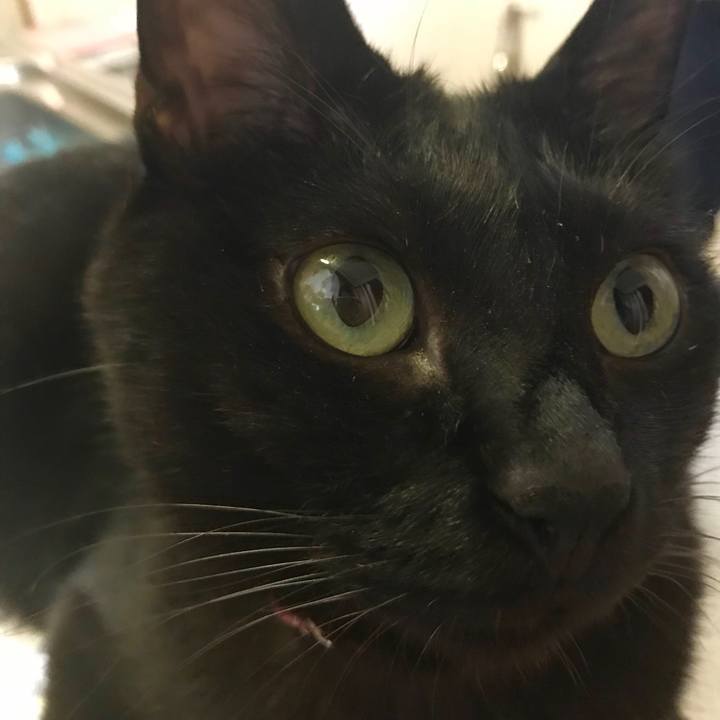 2bb177bd eb09 44bd 8e2d fdac715829cb 1526722623819