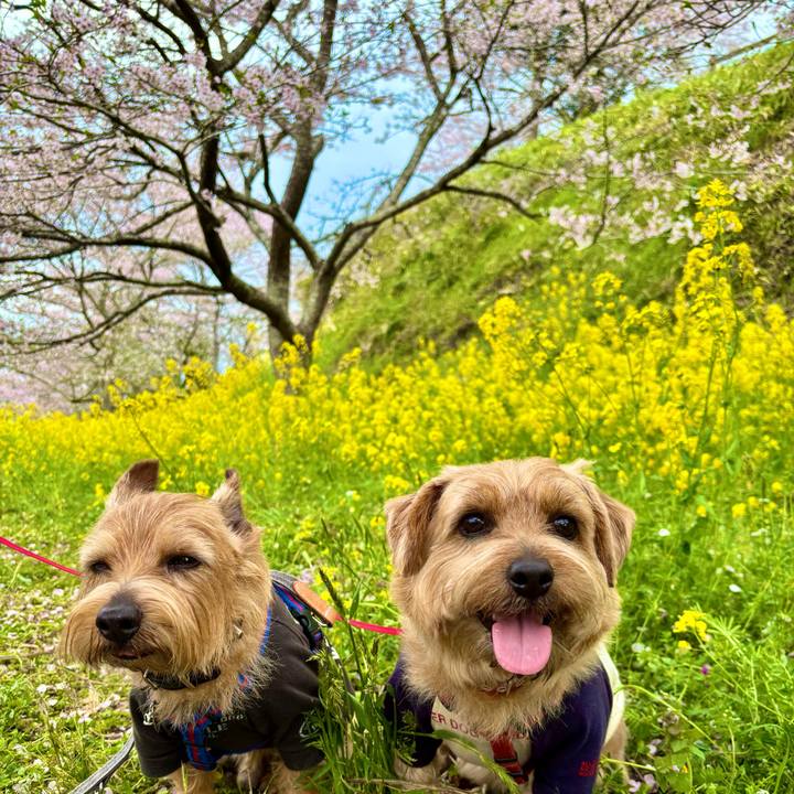 2bb17be4 a415 4489 b87e 72587d39ee96 1763817781883