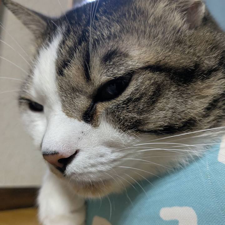 2bb22211 6850 48e3 9d21 11a5243c7e5e 1759615776806