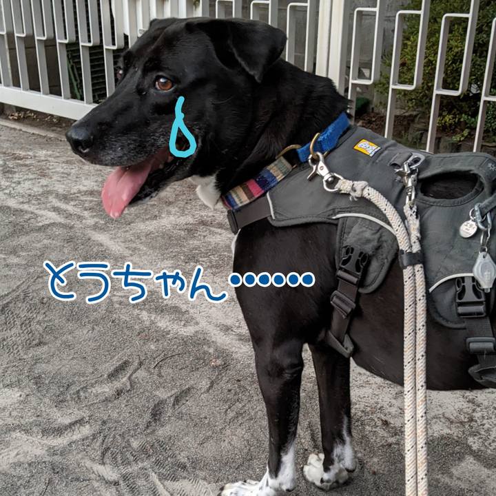 2bb225d5 853a 4113 9bdf 6a12aa9e4324 1657450588464