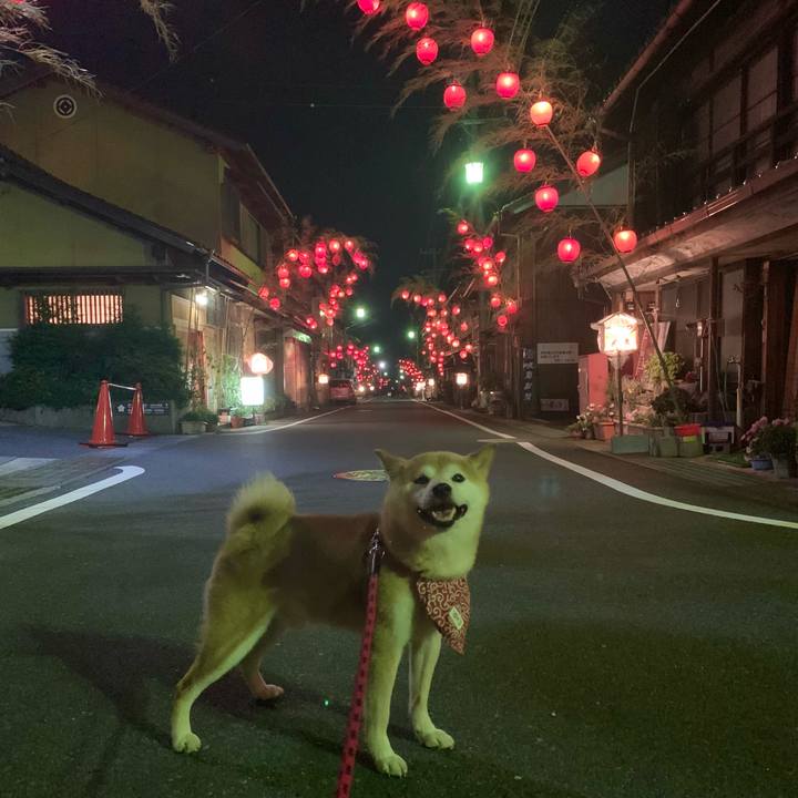 2bb22c04 8865 4e3a 84cd 9722d5904726 1657885935294