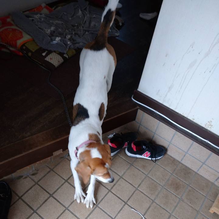 2bb2350c a59b 4d3e b471 c0601332a1b4 1581570067659