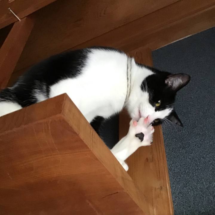 2bb239ed 3d41 4226 b8e3 d63bc31eb6b0 1655779926098