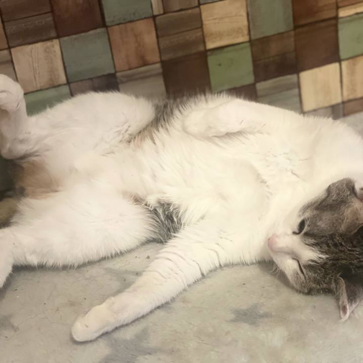 2bb25f59 676f 4f60 80ff d5e47367a44b 1624005755911