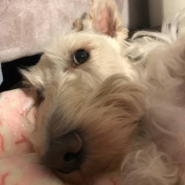 2bb2720e 7298 4aaa 90e7 210ec5a4a4ae 1533604243422