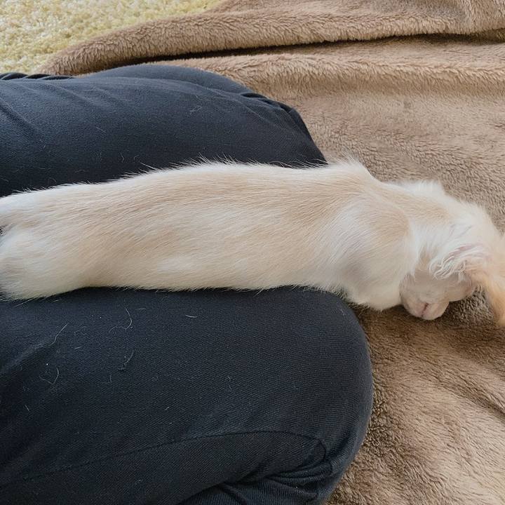 2bb27a29 cf7b 4a0d b96c f99a0912f66c 1592227112497