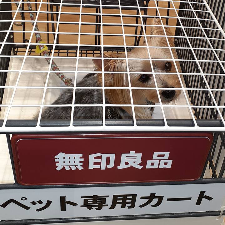 2bb28ece 5c35 4db1 85ed b73def465f74 1697342926325