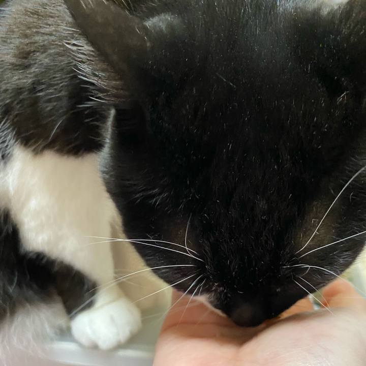 2bb2b216 4917 48ce a2ee 559452446ada 1674455874349