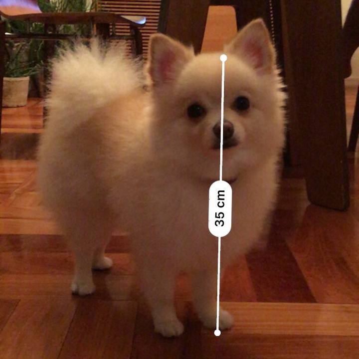 2bb2bf92 dcbc 4638 999e eab1d0231fe7 1538652568872