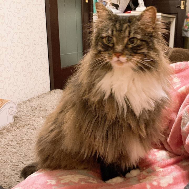 2bb2d28f 422d 4c45 a7b0 1f8e678f941a 1580948236731