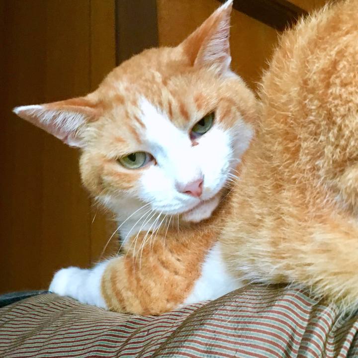 2bb2f9f3 2854 42b0 8b4d 8b8bd0c9ab90 1564385562721