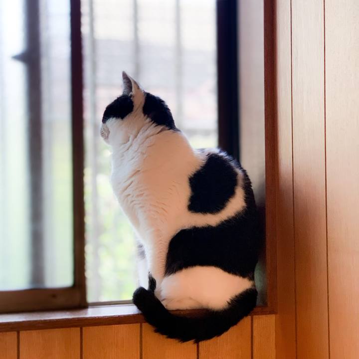 2bb30ba9 54b9 4558 a8af f4bdb5f3056e 1593143352078