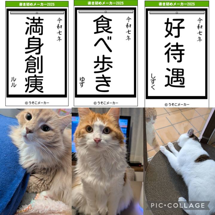 2bb35ac3 3534 438c 8112 69f8b6ffd60d 1736157599558