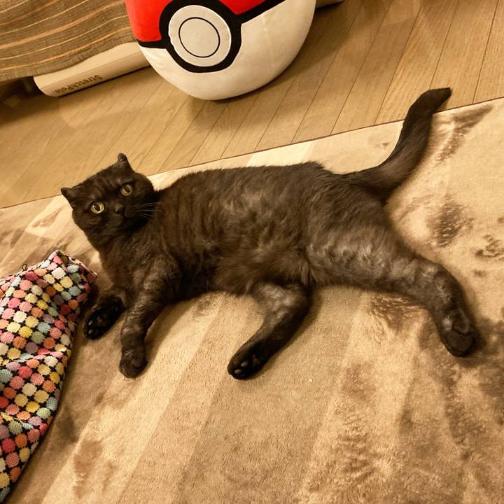 2bb35e04 eef6 4513 ad1a 7fac2446a0e1 1589466985091