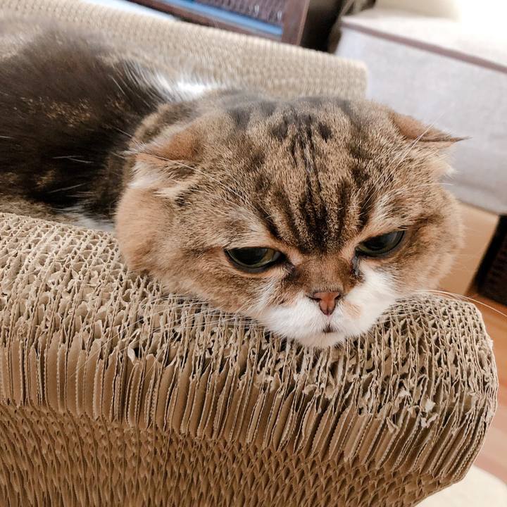 2bb39fd6 0bd8 49ca ac06 a86c02d3ab49 1567816630567