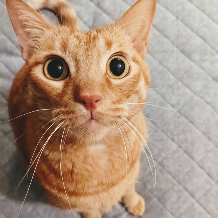 2bb41202 993e 48a2 87be d332a4282c4c 1641382949251