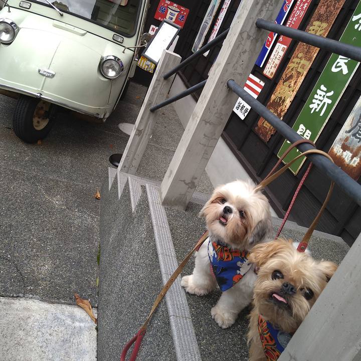 2bb41465 cc91 4474 b93c 0ba50433d34c 1603805727156