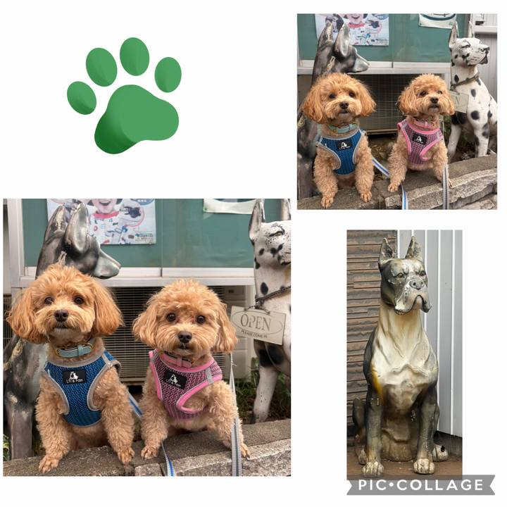 2bb415b5 7d13 40b6 9371 e5399396607f 1762570250198