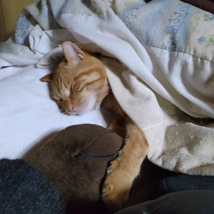 2bb42f60 ece3 4c4f a082 7afaf26037d4 1702635483625