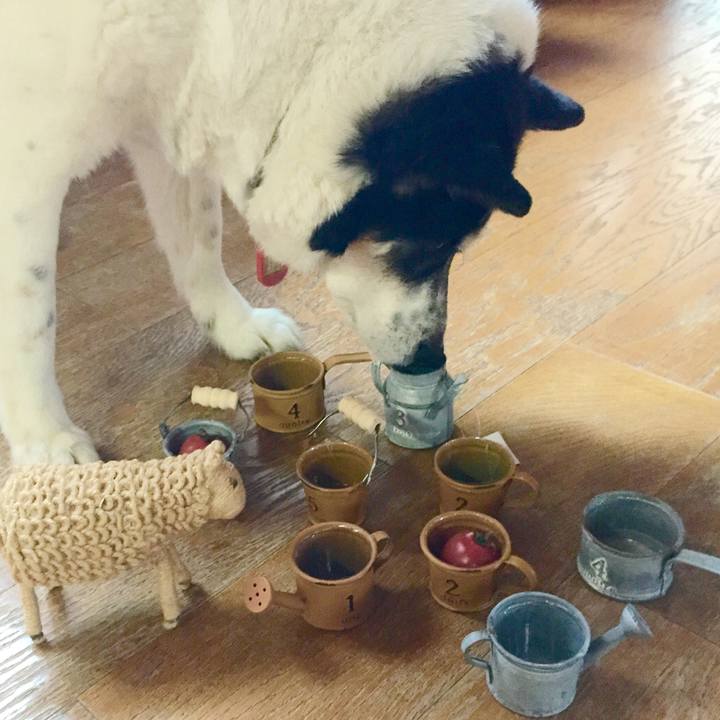 2bb4512b 7288 4431 b109 a4ec256d140d 1549845162065