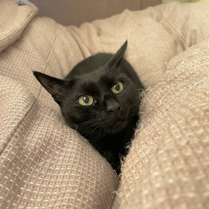 2bb4514c e7bb 4f36 8dca 6bfc82742275 1667131608782