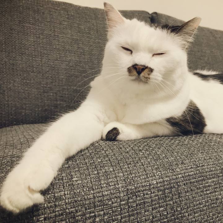 2bb48d91 0035 43f3 97e3 a77689a0d7e6 1534155543349