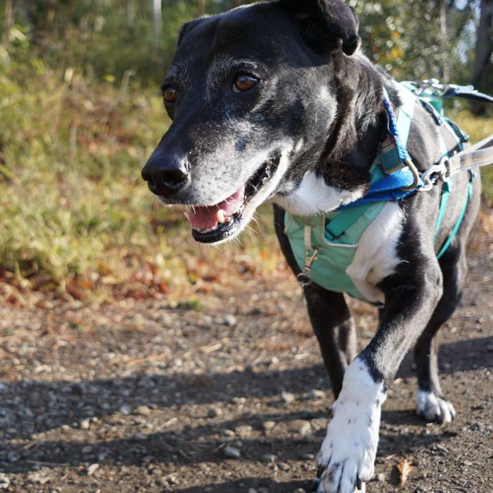 2bb4e1fb d358 430e aab7 2131c6817ee0 1772867233880