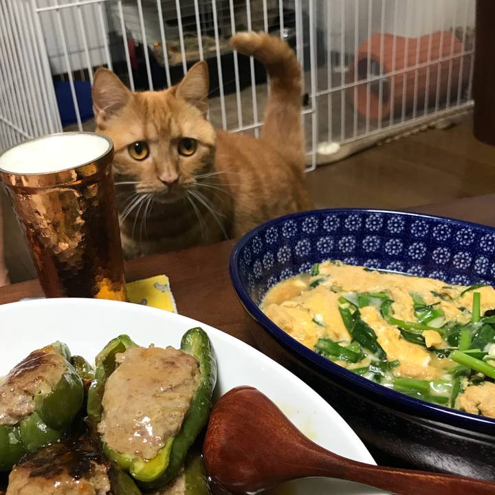 2bb50865 1699 4eca 810f 717306dfeaf0 1542369188626