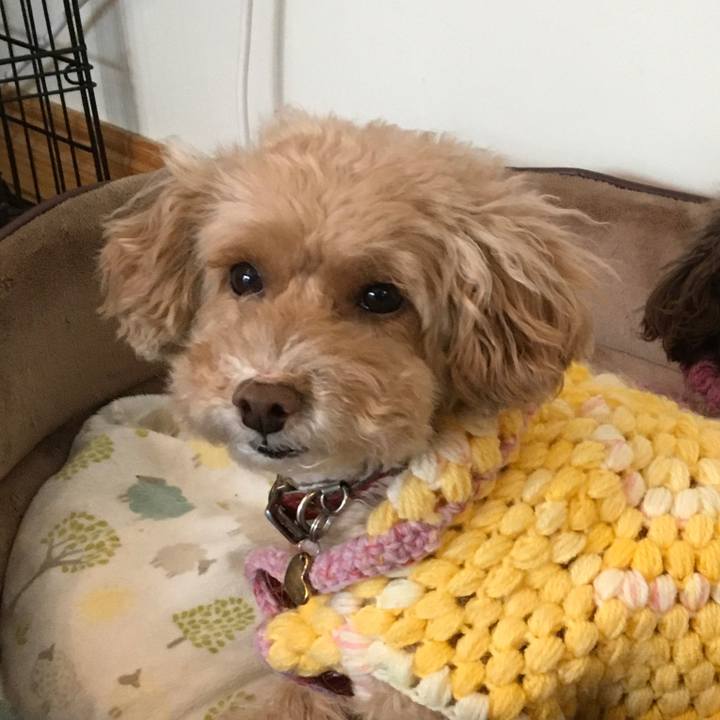 2bb52f46 7a71 4770 b519 ef638f878c94 1613059382476