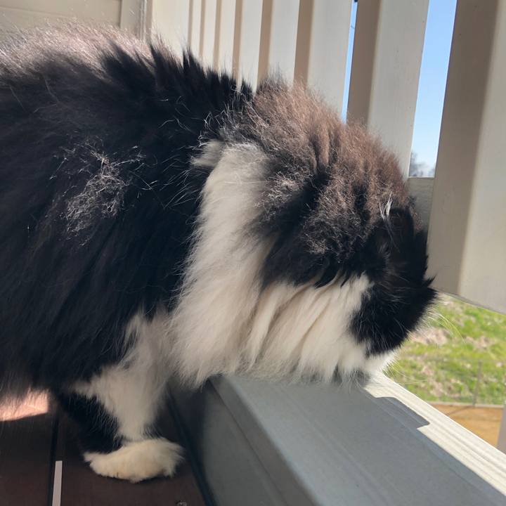 2bb55be2 2014 4550 b267 ae3d27efdab6 1581147440756