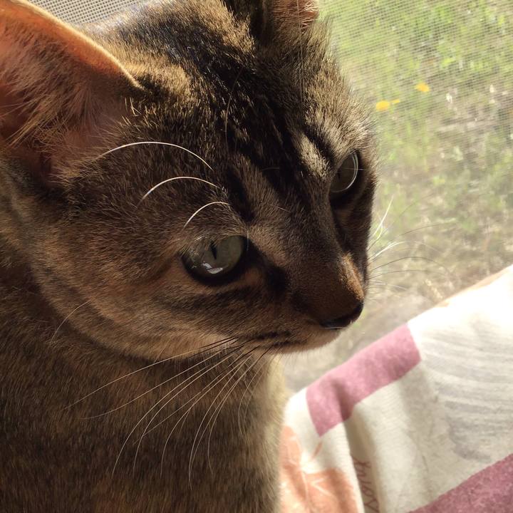 2bb55e19 9846 48bd 81d0 474bec86092b 1586389808514